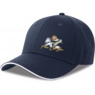 color:navy